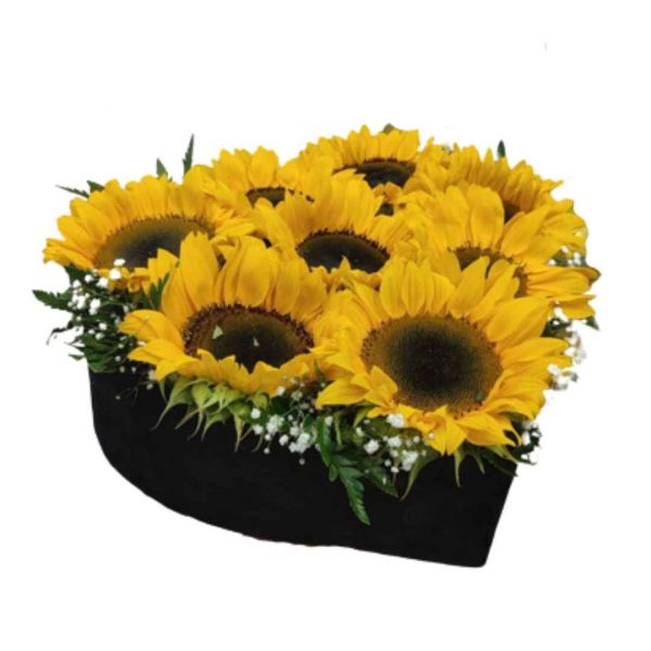 CAJA DE GIRASOLES