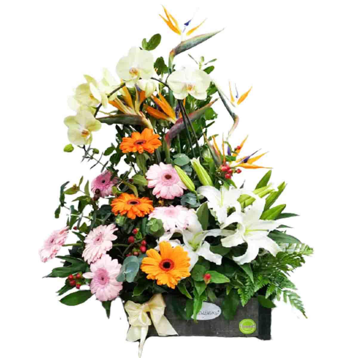 Arreglo Floral con Orquideas y Lirios