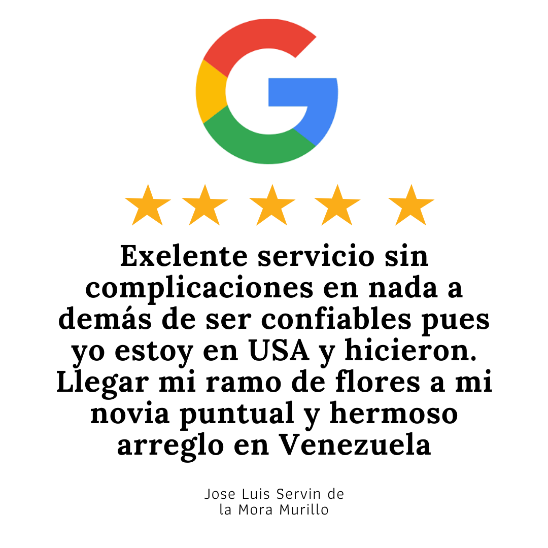 reseña google 1