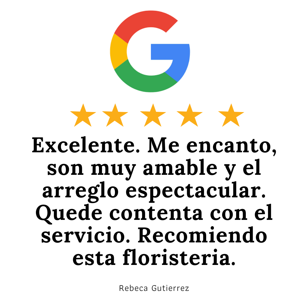 reseña google 3