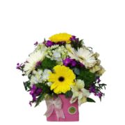 caja de gerberas
