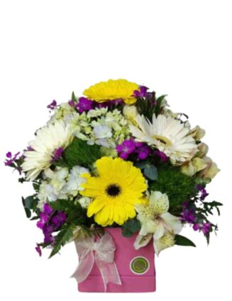 caja de gerberas