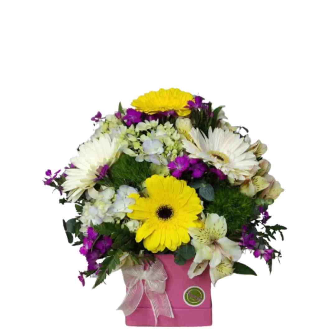 caja de gerberas