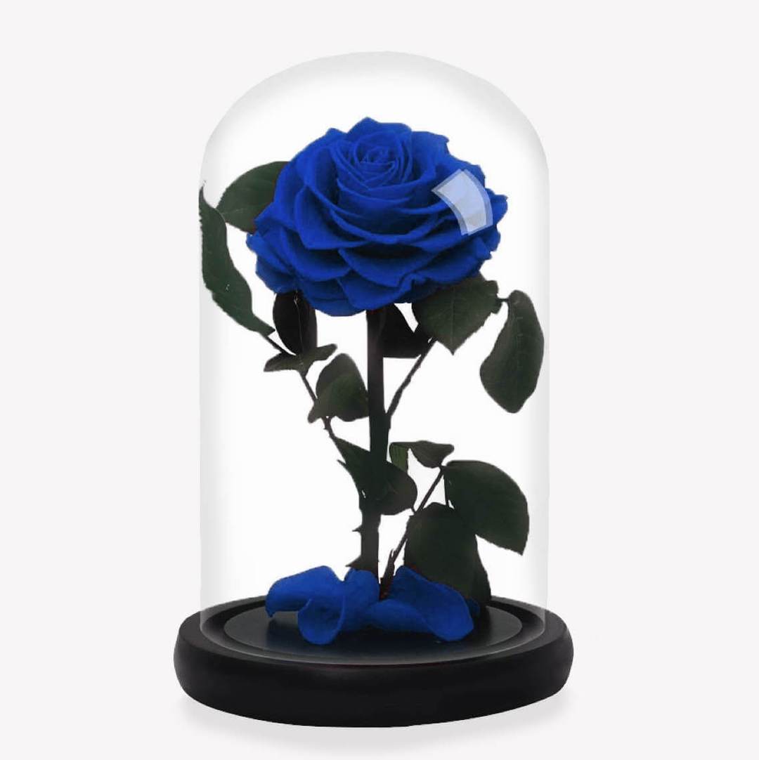 Rosa eterna azul