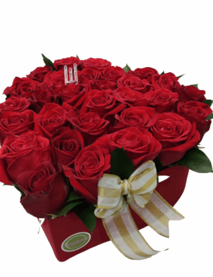 Corazon de rosas rojas