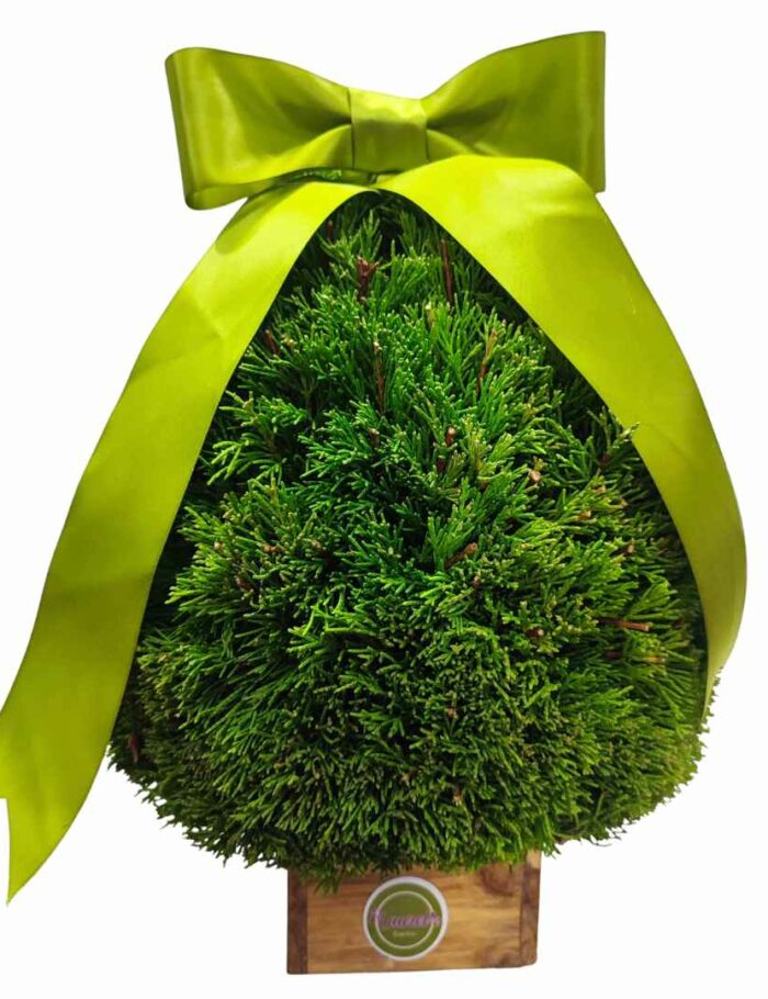 Arbol de Navidad Natural Arbol de Navidad Natural