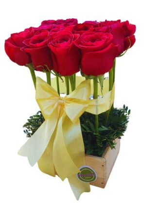 Jardin de Rosas