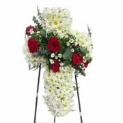 Cruz Funeraria Economica