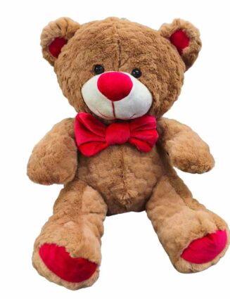 Oso de Peluche 60cm