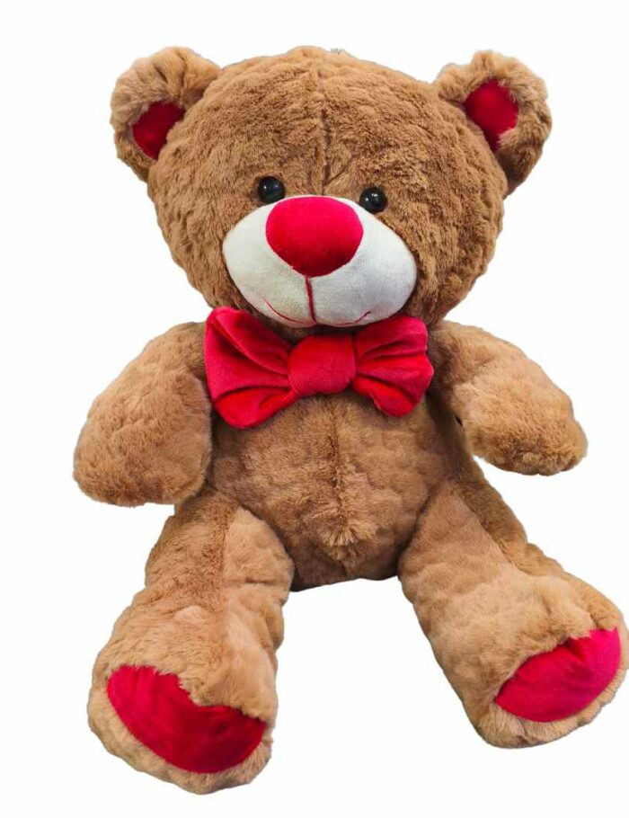 Oso de Peluche 60cm