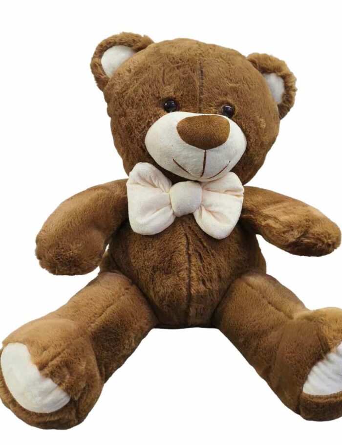 Oso de Peluche 60cm